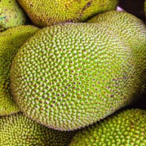 jackfruit background