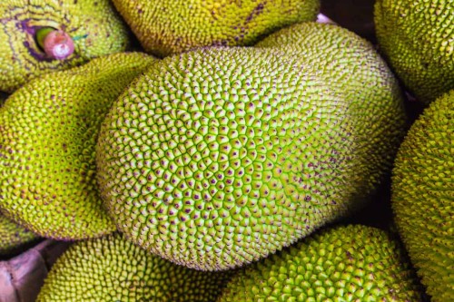 jackfruit background jackfruit background
