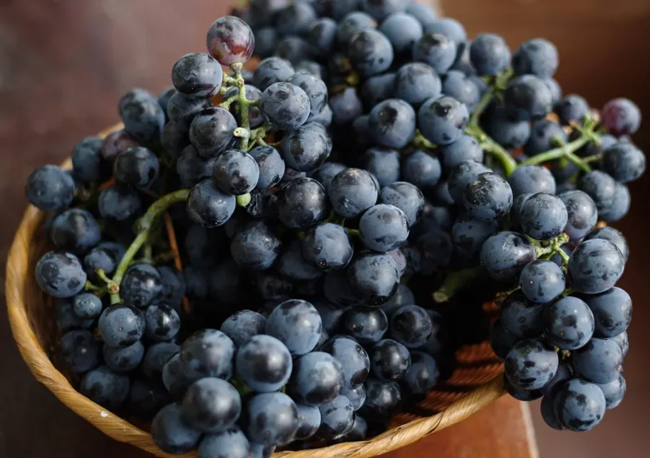 black grapes black grapes