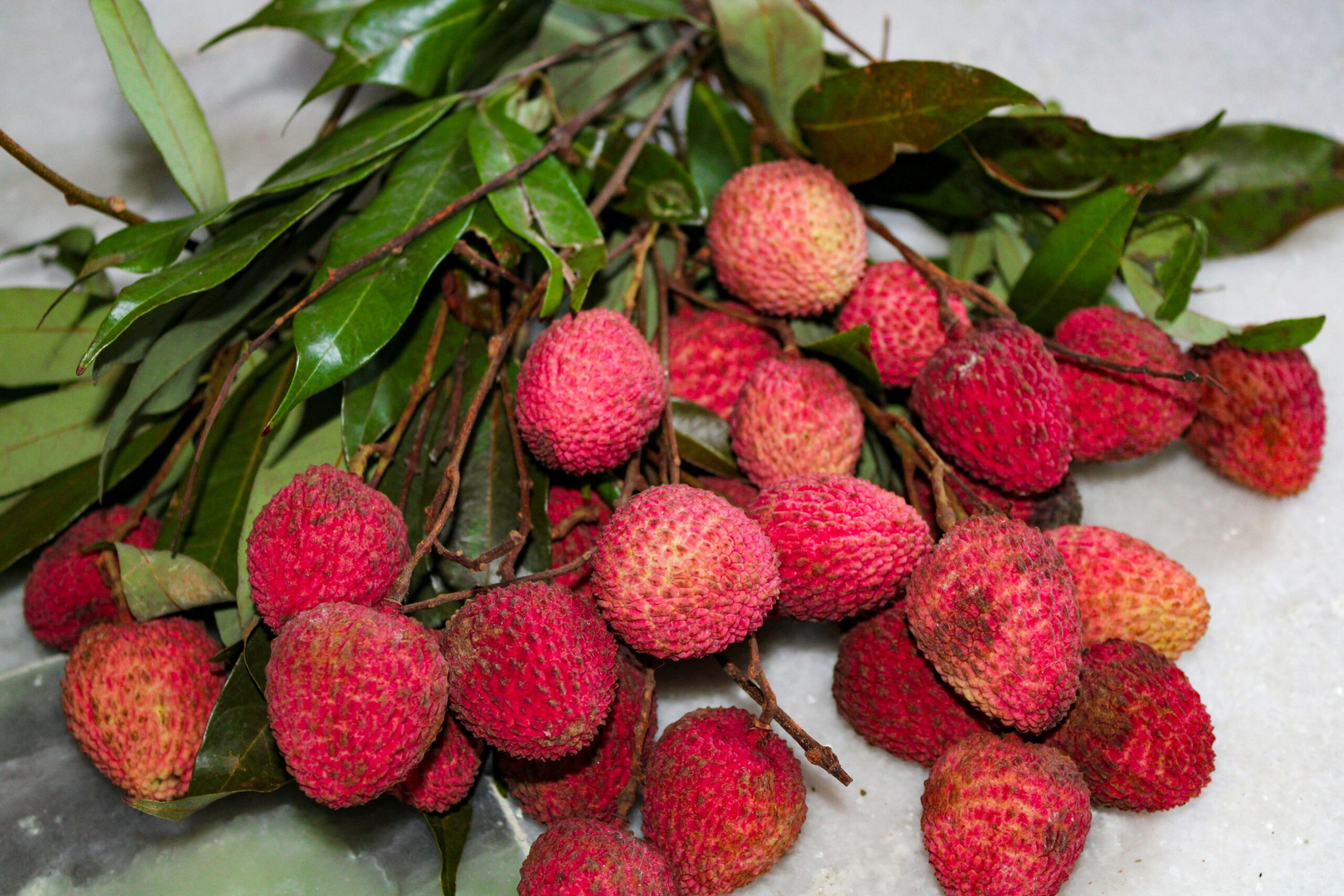 lichi lichi