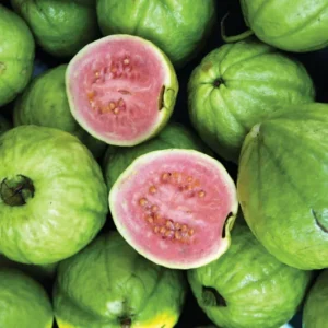 pink guava