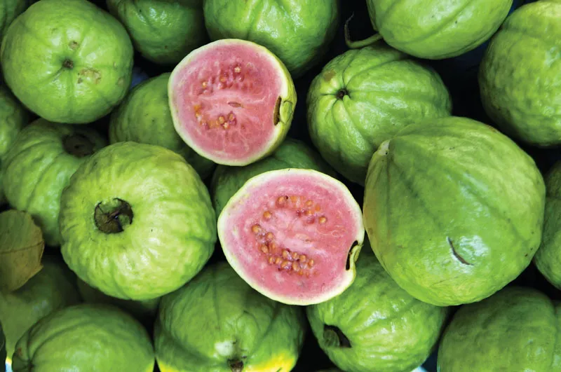 pink guava pink guava